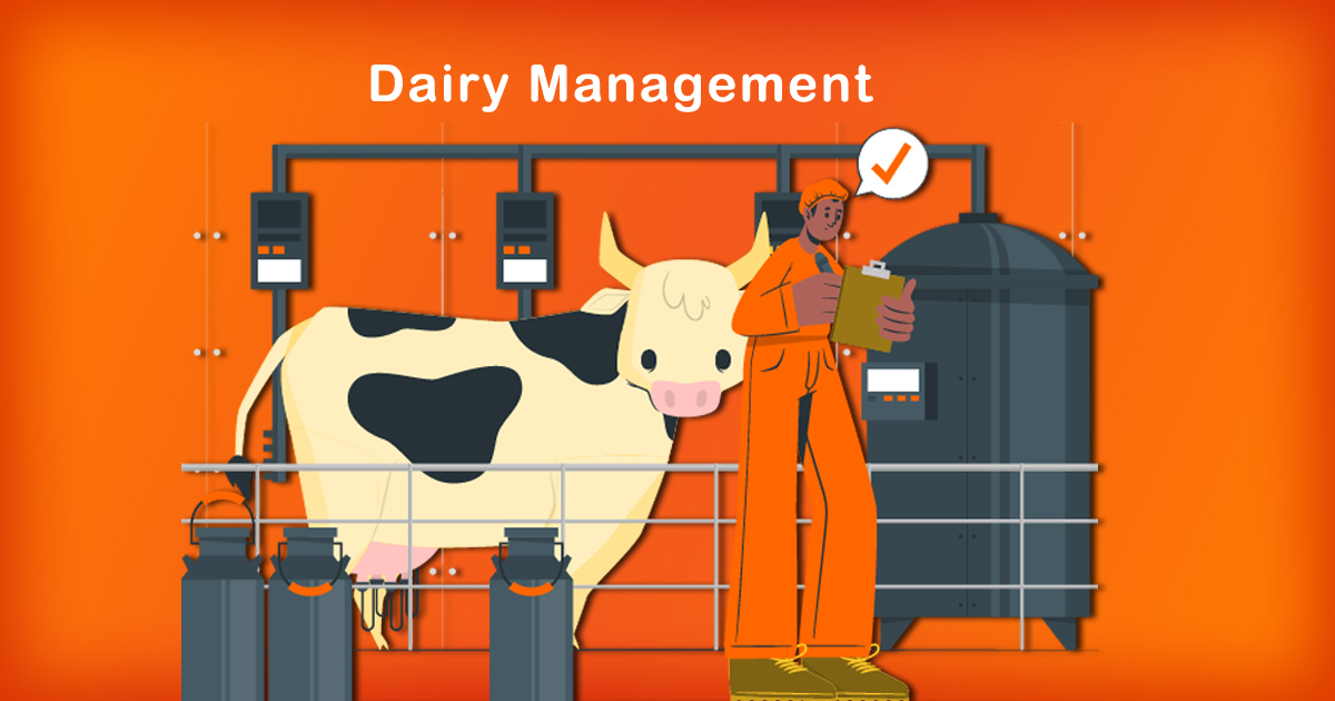 Dairy Management