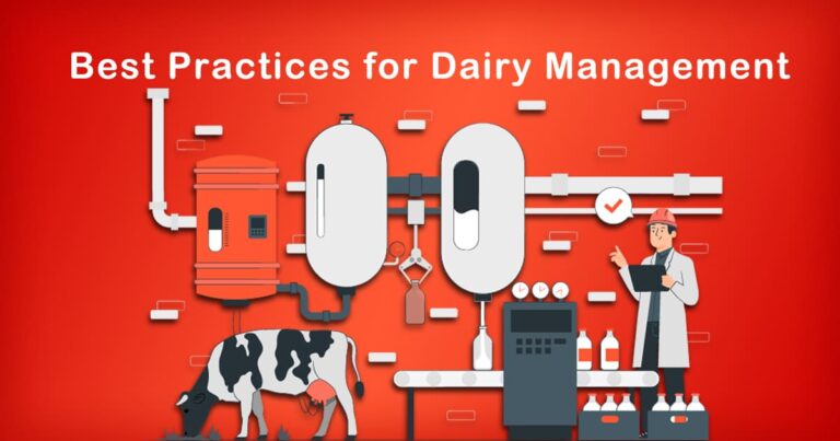 Best Practices for Dairy Management in India